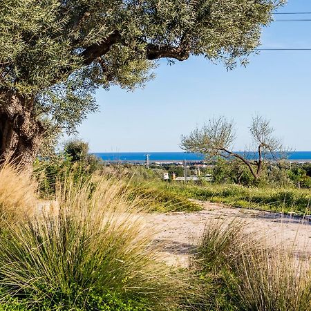 Quinta Da Baleeira Villa Tavira Bagian luar foto